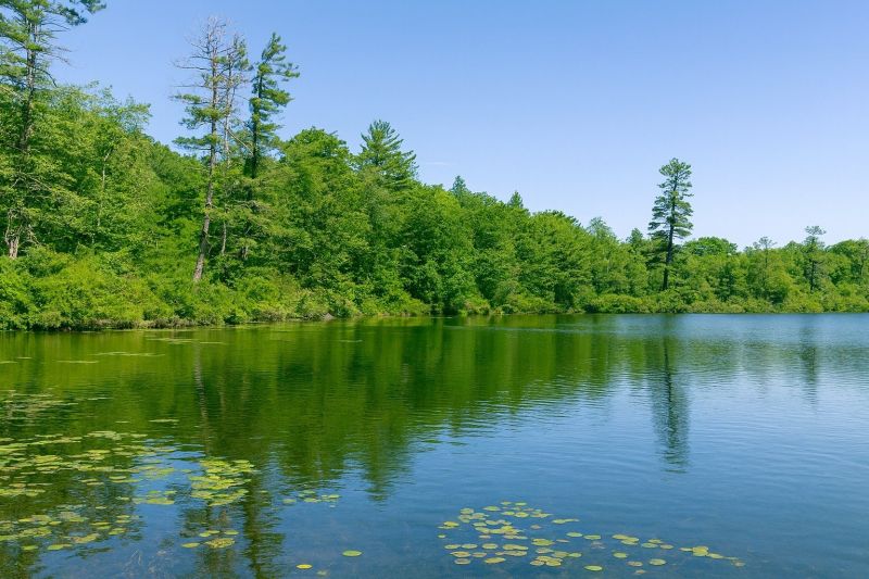 Top Shower Remodeling Companies in Lake Ariel, PA