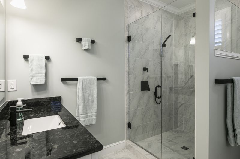 Top Tub To Shower Conversion Companies in Granite City, IL