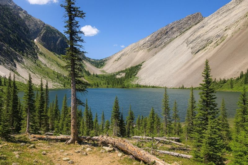 Best Bathroom Remodeling pros in Bozeman, MT