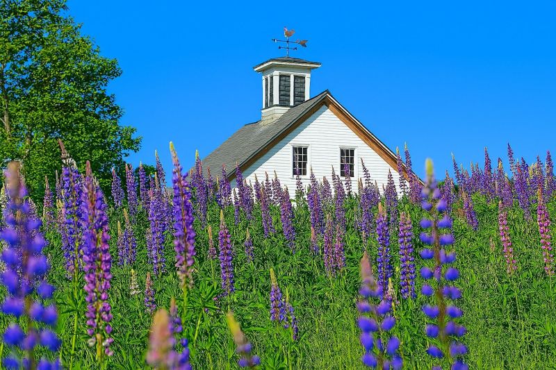 Best Bathroom Remodeling pros in Whitefield, ME