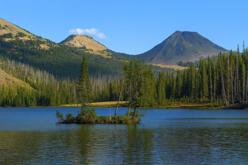 Best Bathroom Remodeling pros in Carbondale, CO