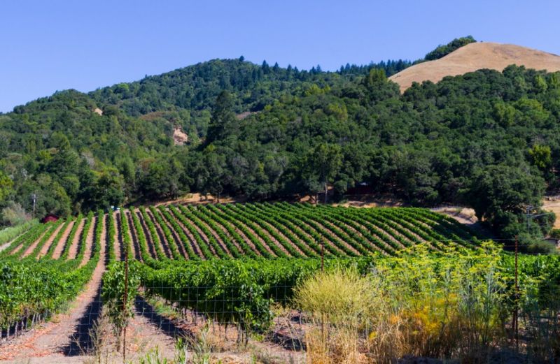 Best Bathroom Remodeling pros in Santa Rosa, CA