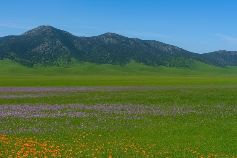 Best Bathroom Remodeling pros in Rosamond, CA