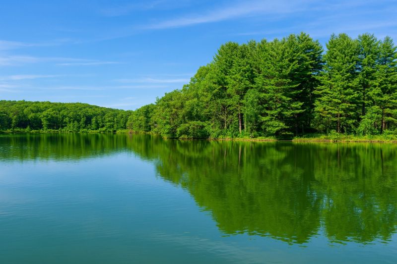 Best Bathroom Remodeling pros in Waupaca, WI