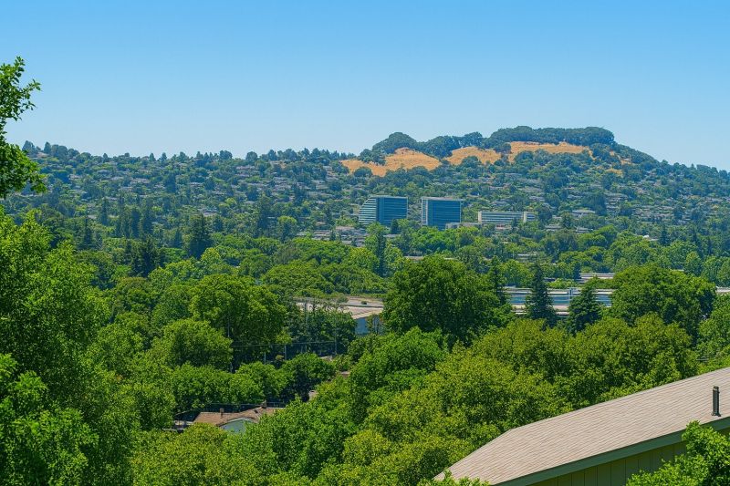 Best Shower Remodeling pros in Castroville, TX