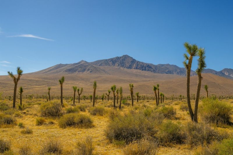 Best Shower Remodeling pros in Joshua Tree, CA