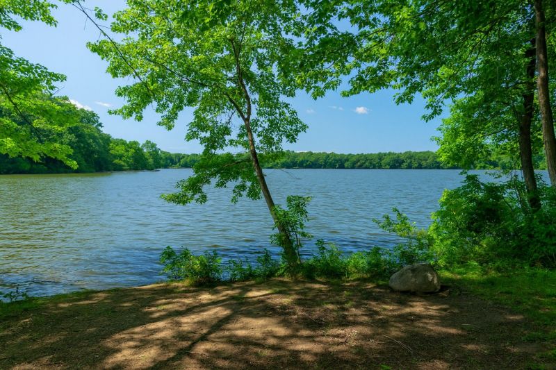 Best Shower Remodeling pros in Richboro, PA