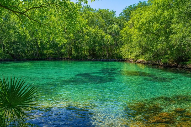 Best Shower Remodeling pros in Interlachen, FL