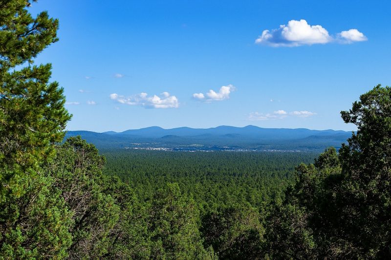 Best Shower Remodeling pros in Vail, AZ