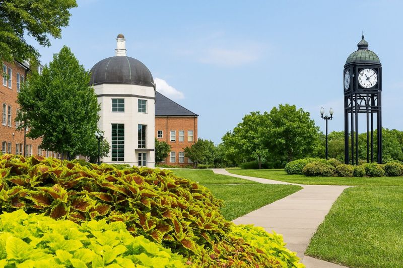 Best Shower Remodeling pros in O Fallon, IL