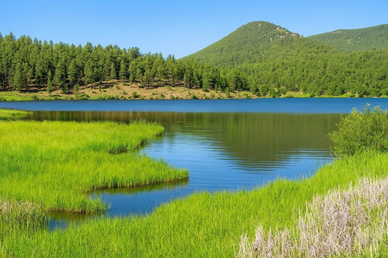 Best Shower Remodeling pros in Grand Lake, CO