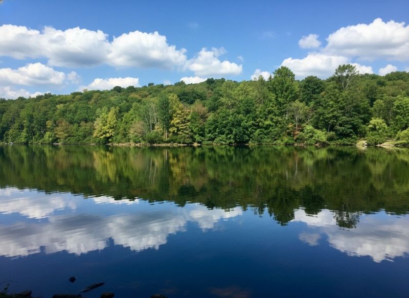 Best Shower Remodeling pros in North East, MD