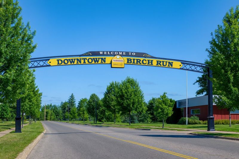 Best Tub To Shower Conversion pros in Birch Run, MI