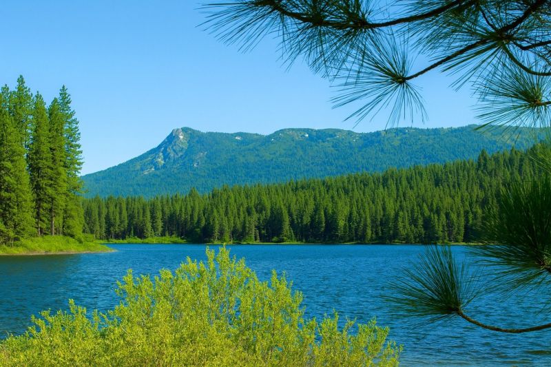 Best Tub To Shower Conversion pros in Antelope, CA