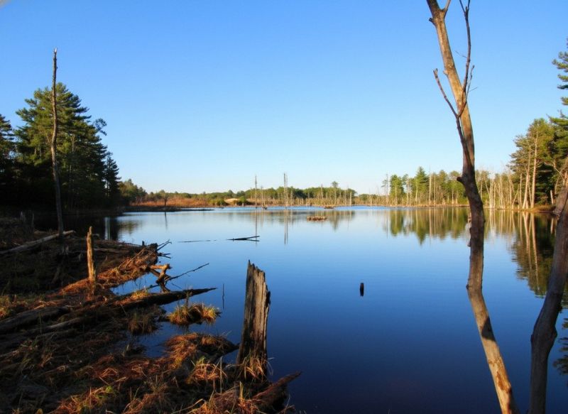 Best Tub To Shower Conversion pros in Sunapee, NH