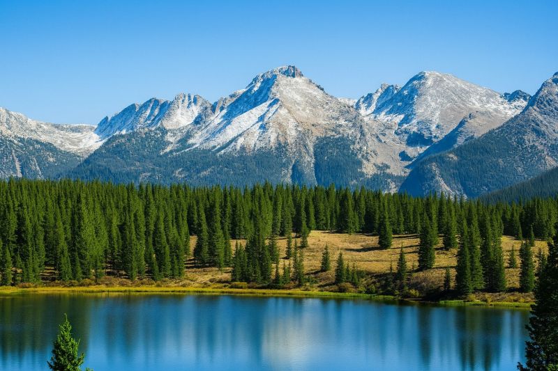 Best Tub To Shower Conversion pros in Lyons, CO