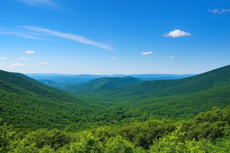 Best Tub To Shower Conversion pros in Forest, VA