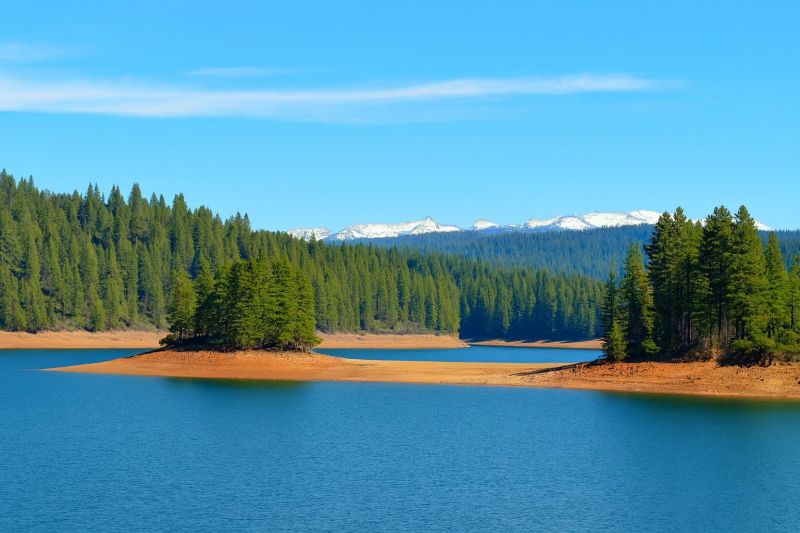 Best Tub To Shower Conversion pros in Pollock Pines, CA