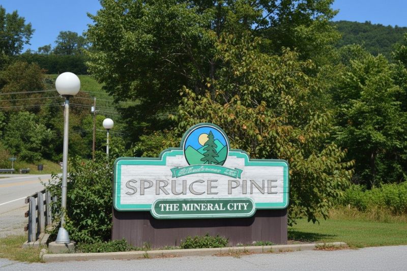 Best Tub To Shower Conversion pros in Pinehurst, NC