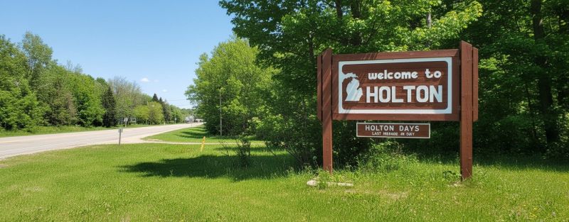 Best Tub To Shower Conversion pros in Holt, MI