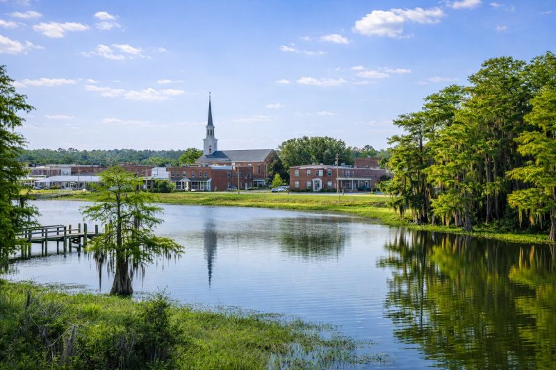 Best Tub To Shower Conversion pros in Santee, CA