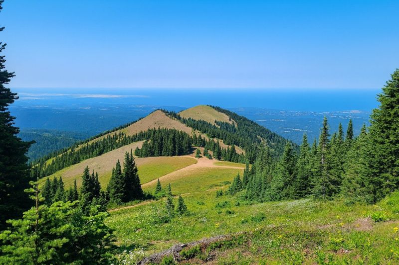 Best Tub To Shower Conversion pros in Deer Park, WA