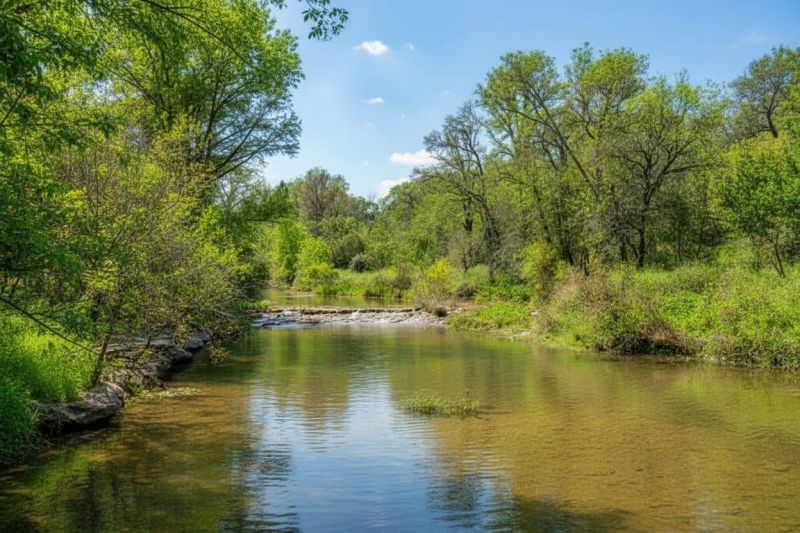 Best Tub To Shower Conversion pros in Cedar Creek, TX