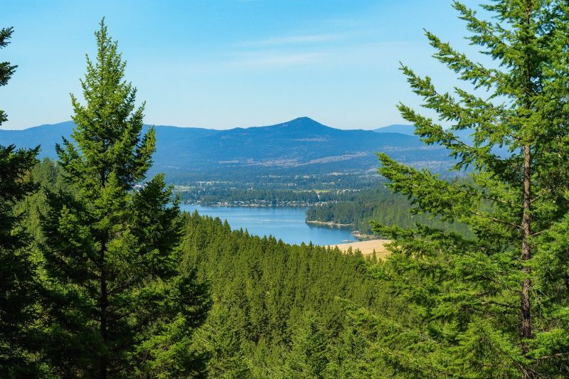 Best Tub To Shower Conversion pros in Liberty Lake, WA