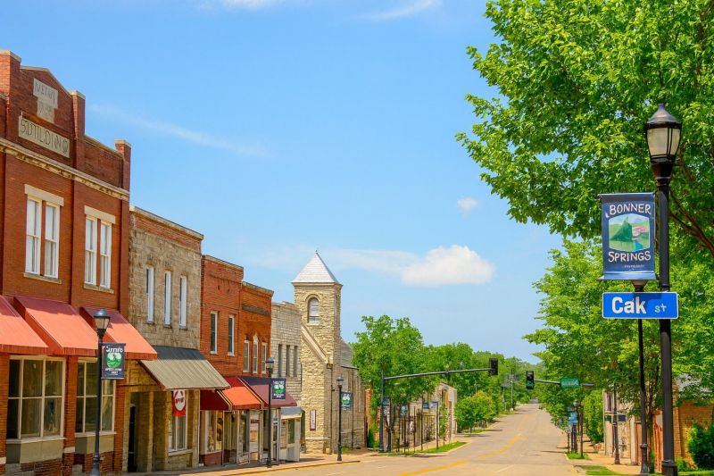 Best Tub To Shower Conversion pros in Bonner Springs, KS