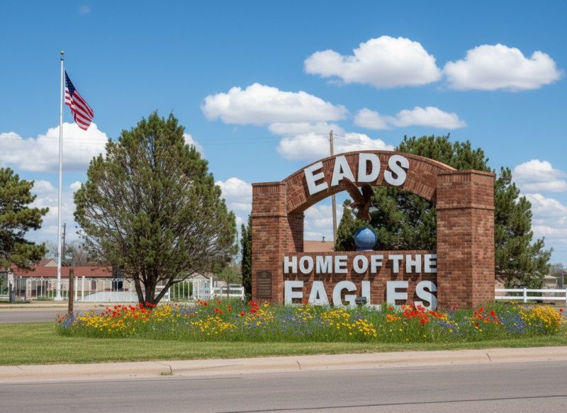 Best Tub To Shower Conversion pros in Edwards, CO