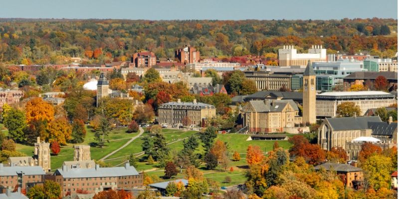 Best Tub To Shower Conversion pros in Ithaca, NY
